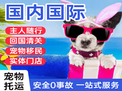 宁波空运国际宠物托运 【国